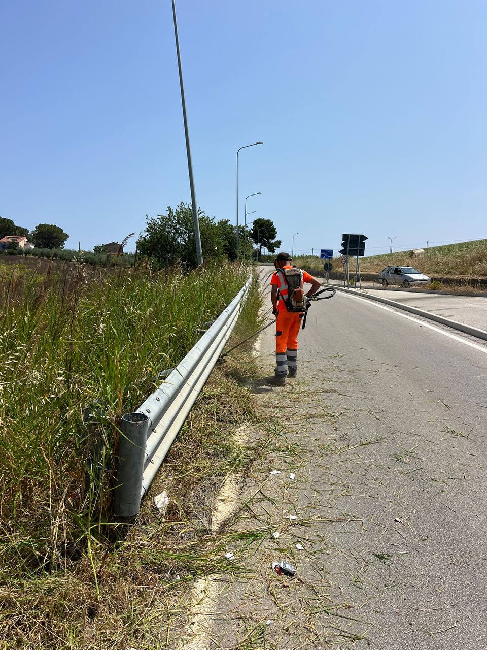 Intervento di sfalcio