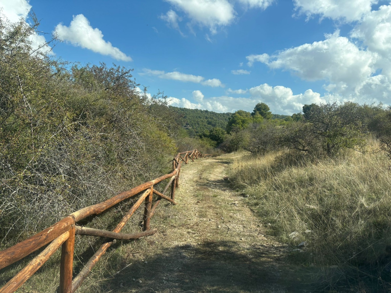Monte Lisciacoli - Minervino Murge