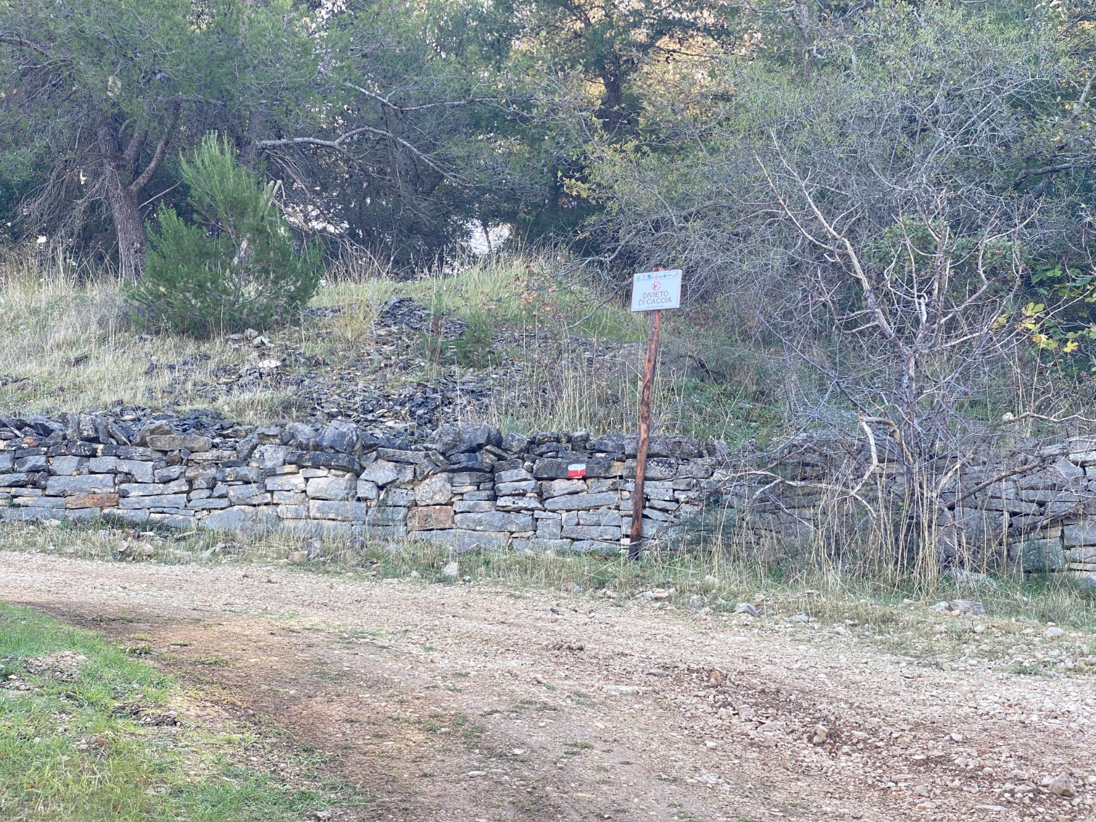 Flora dell'Alta Murgia