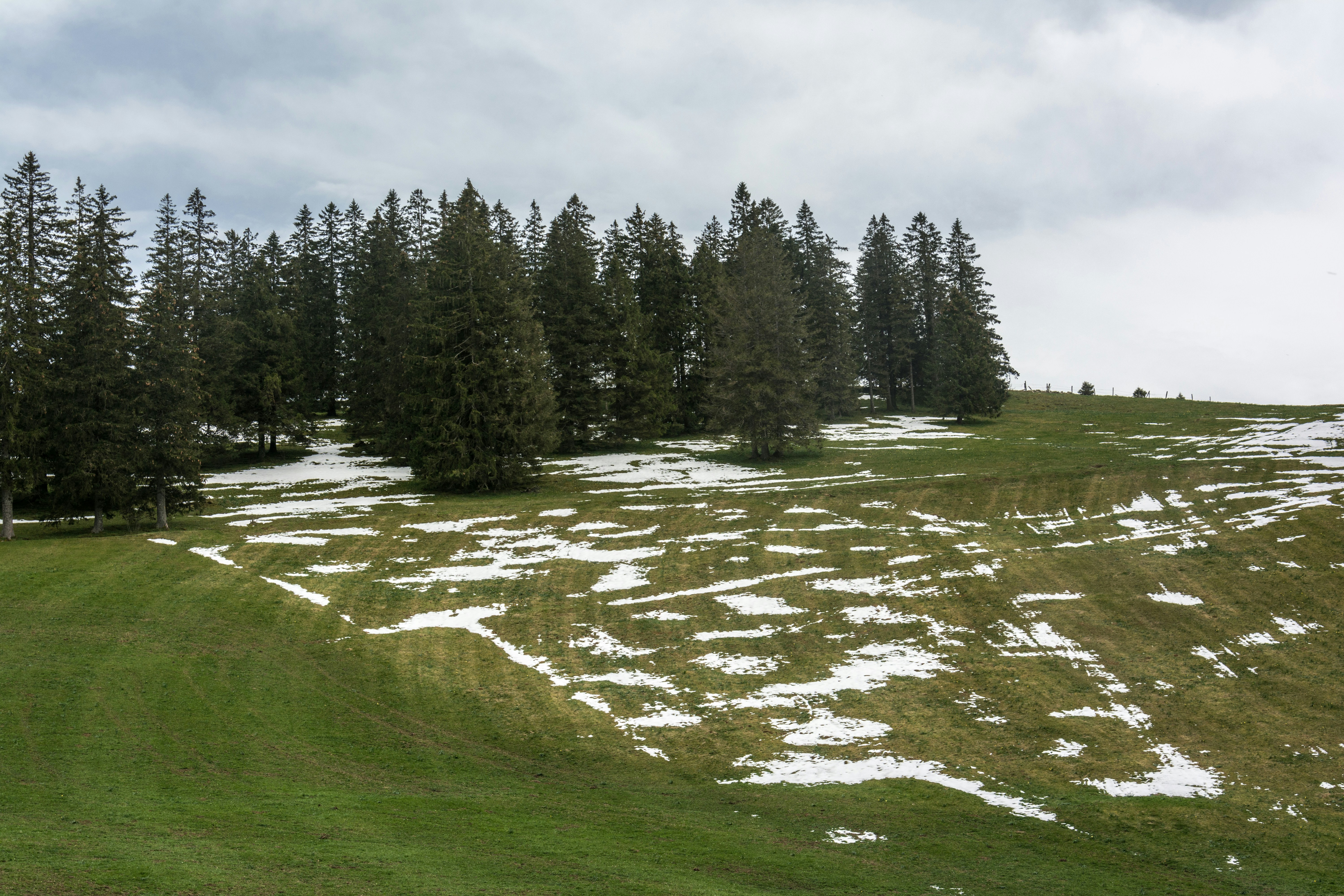 Piste da sci e argini